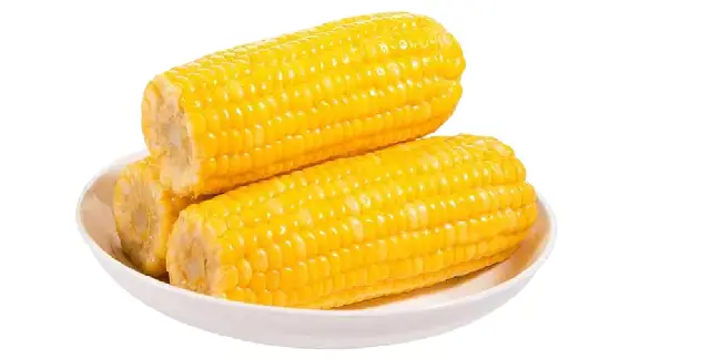 corn Roast Catering