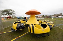 Bumble Bees