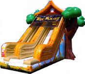 Tree House Slide